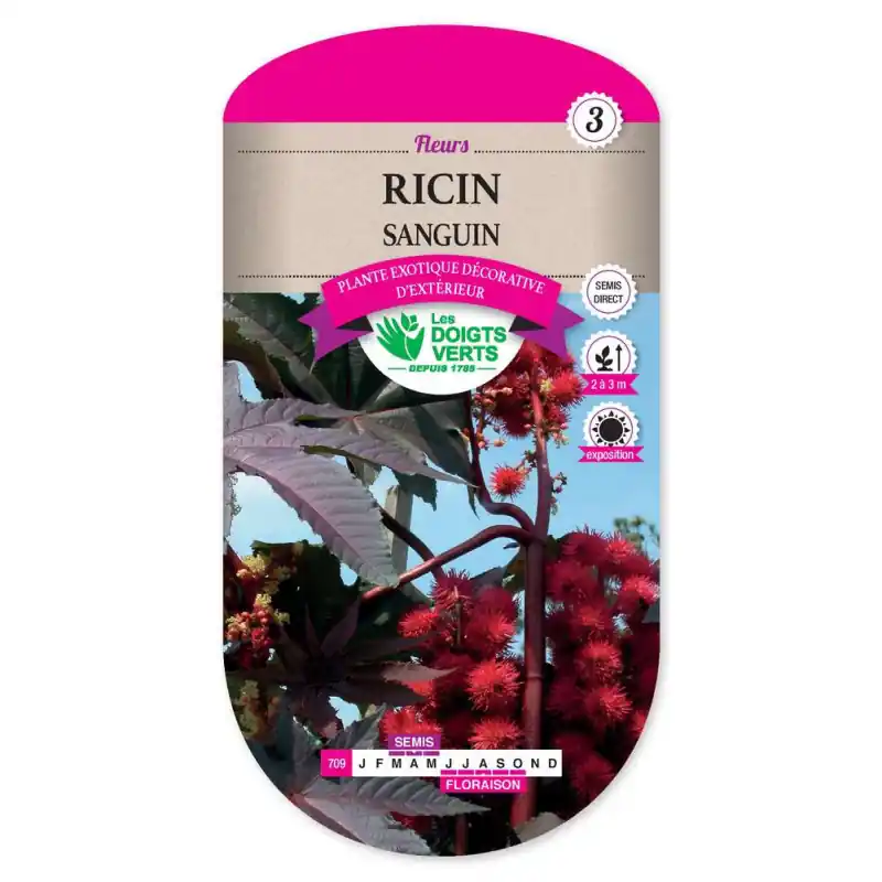 Dernière Chance Ricin sanguin – sachet de graines 5g – les doigts verts