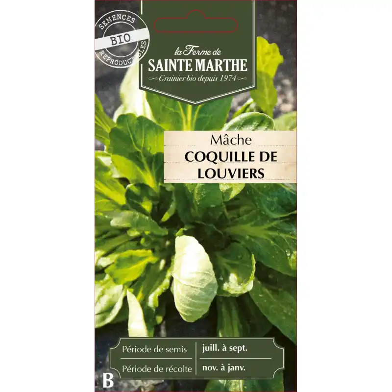 Mache coquille de louviers bio de sainte marthe - salade fraîche et nutritive - graines à semer Affaire À Saisir