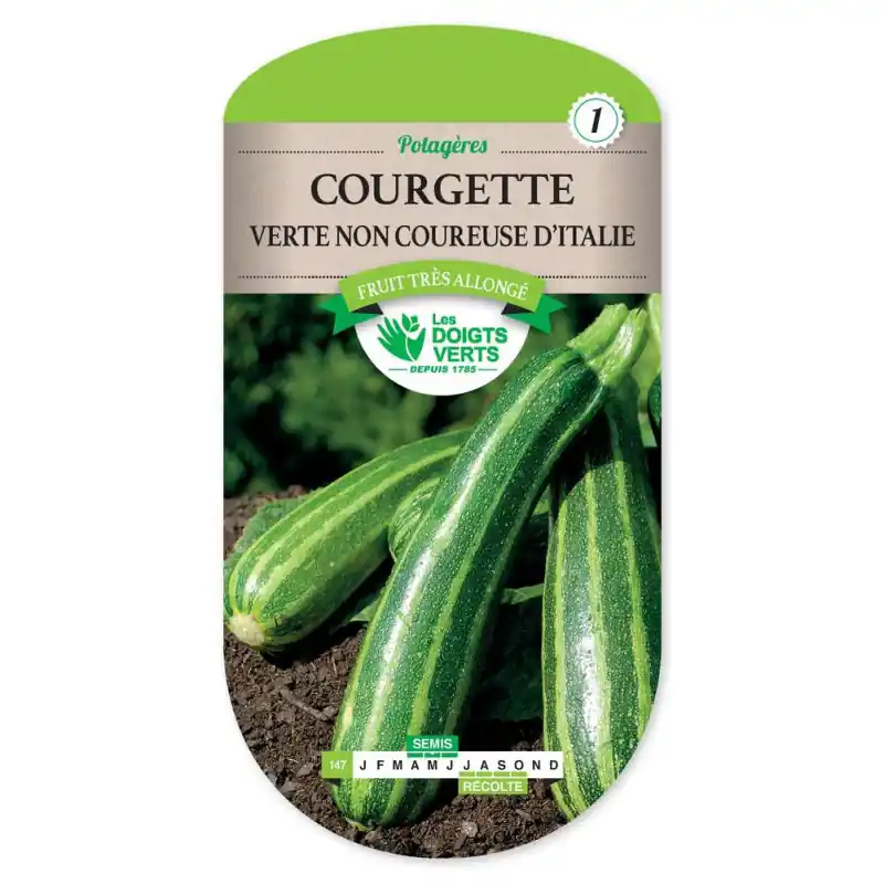 Courgette verte non coureuseitalie – graines 6g – les doigts verts Commander Vite