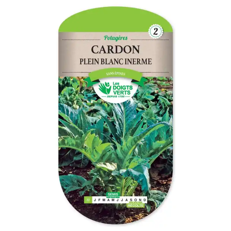 Cardon plein blanc inerme – sachet de graines 6g – les doigts verts Meilleur Choix