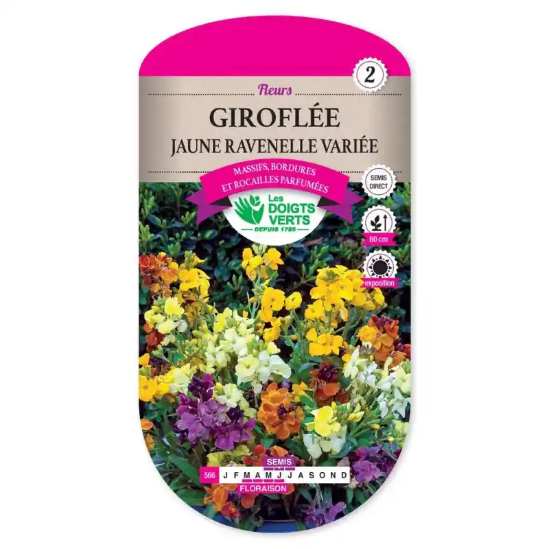 Meilleur Choix Giroflee jaune ravenelle variee – graines 2g – les doigts verts