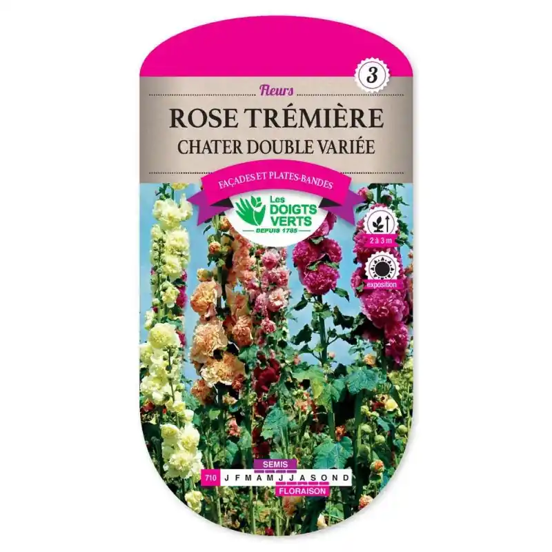 Rose tremiere chater dble variee – graines 1,5g – les doigts verts Meilleur Choix