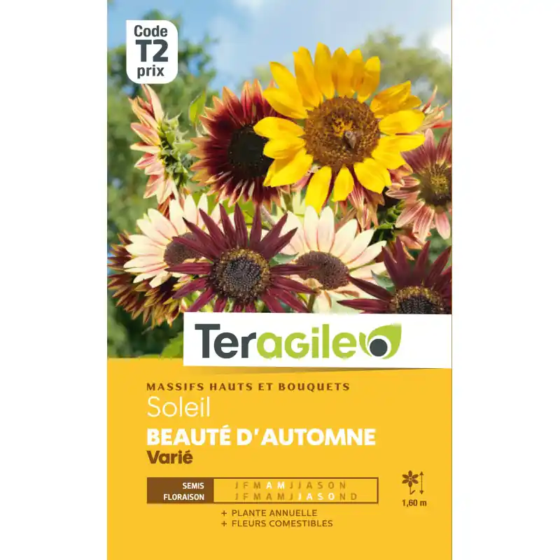 Soleil beaute dautomne varie 4,00 g Prix Cassé