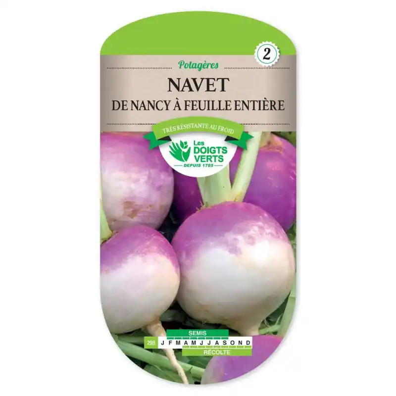 Achetez Aujourd&rsquo;hui Navet de nancy feuille entiere – graines 8g – les doigts verts