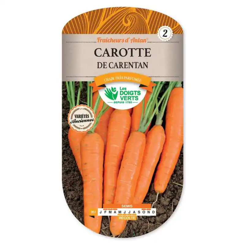 Carotte de carentan – sachet de graines 6g – les doigts verts Achetez Aujourd&rsquo;hui