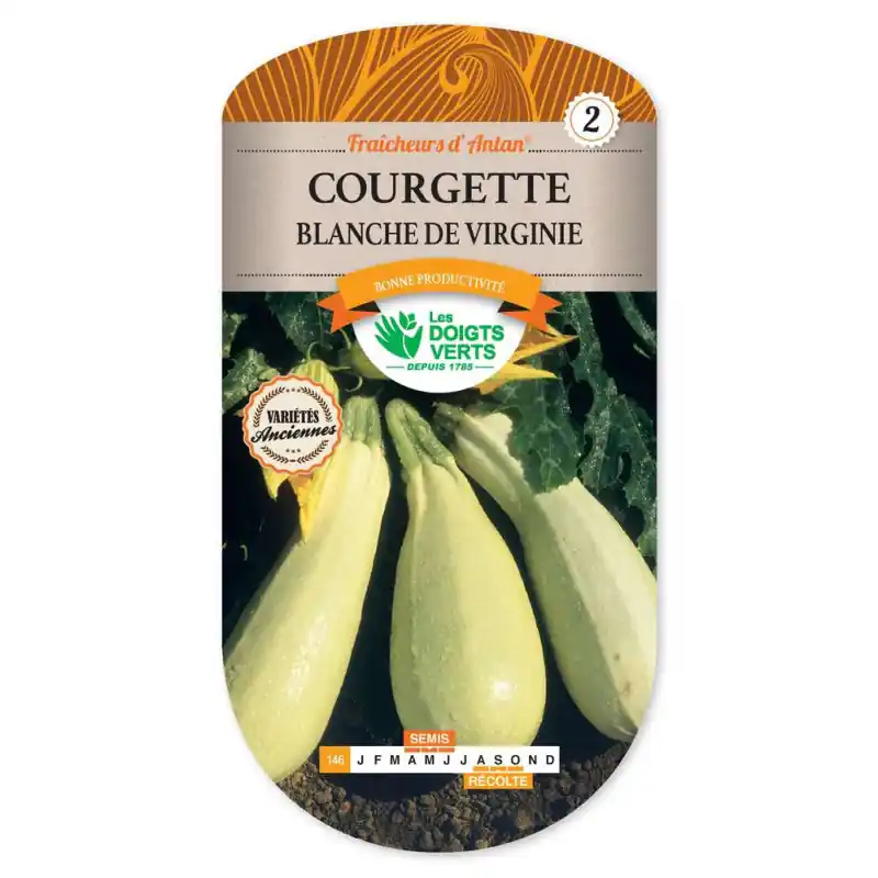 Dernier Modèle Courgette blanche de virginie – graines 5g – les doigts verts