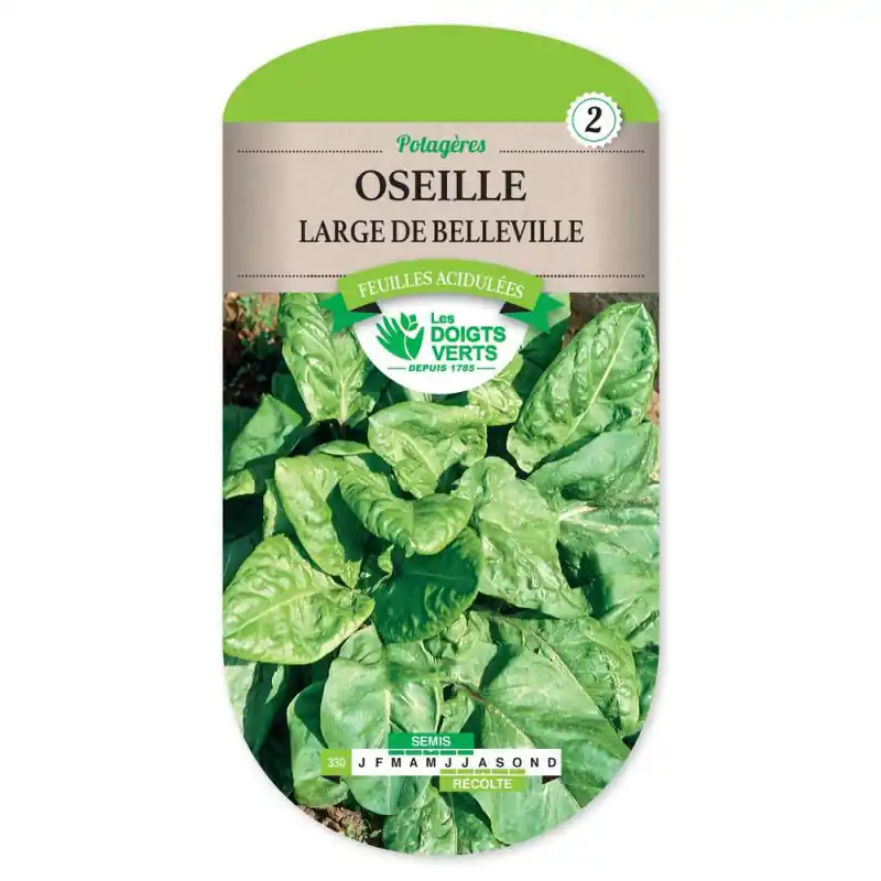 Pas Cher Oseille large de belleville – graines 5g – les doigts verts