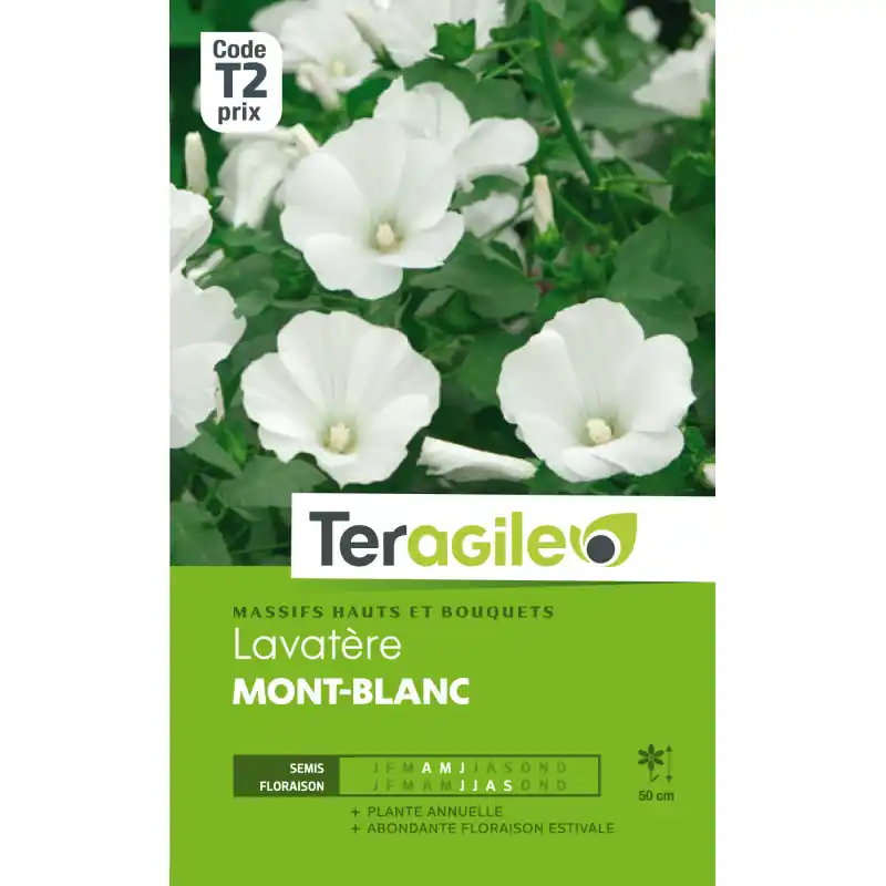 Lavatere mont blanc 1,50 g Bon Marché