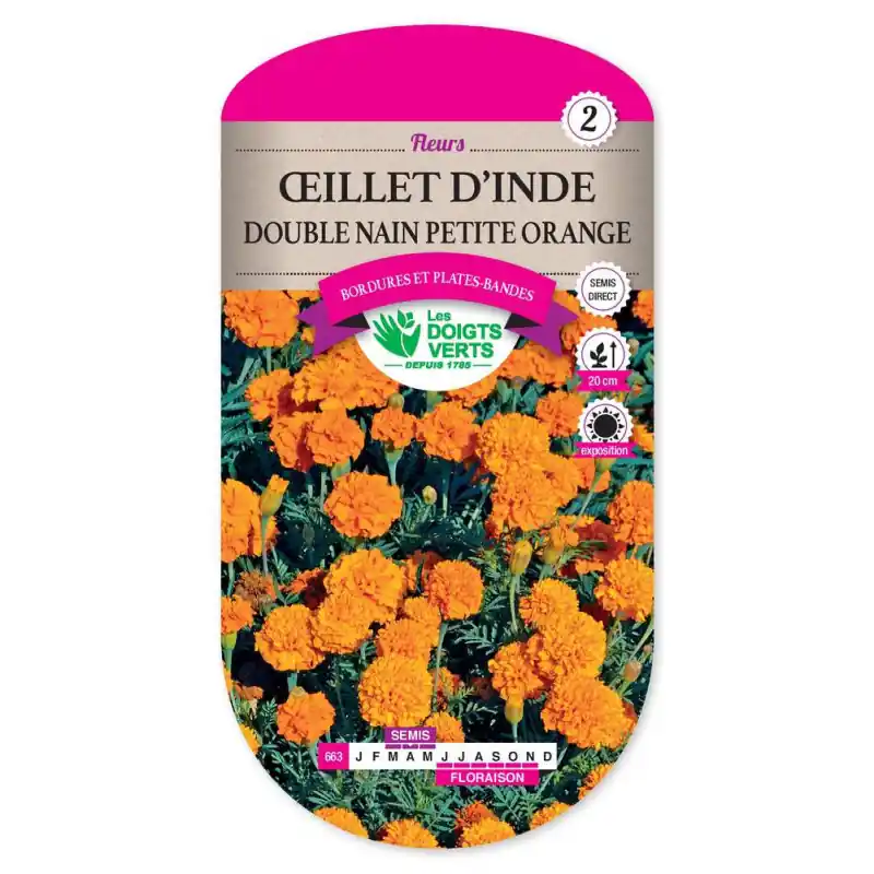 Oeillet inde dle n.petite orange – graines 1,5g – les doigts verts Affaire À Saisir