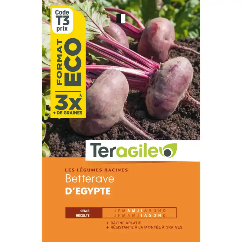 Commande En Gros Betterave potagere degypte 15,00 g