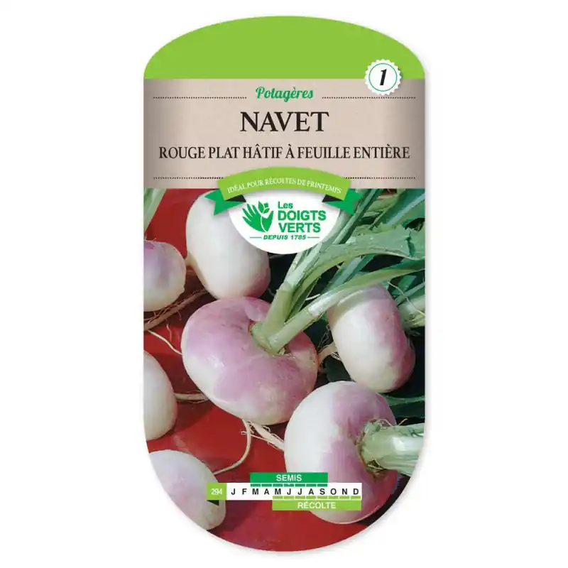 Offre Limitée Navet rouge plat hatif feuil.ent – graines 8g – les doigts verts