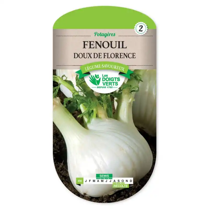 Fenouil doux de florence – sachet de graines 5g – les doigts verts Commander Maintenant