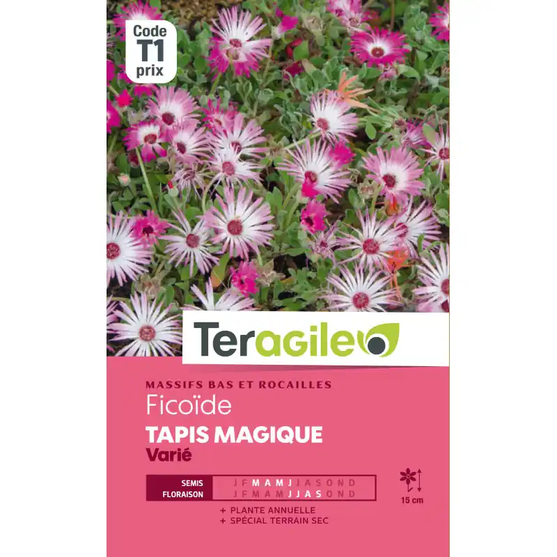 Ficoide tapis magique varie 1,00 g Prix Choc