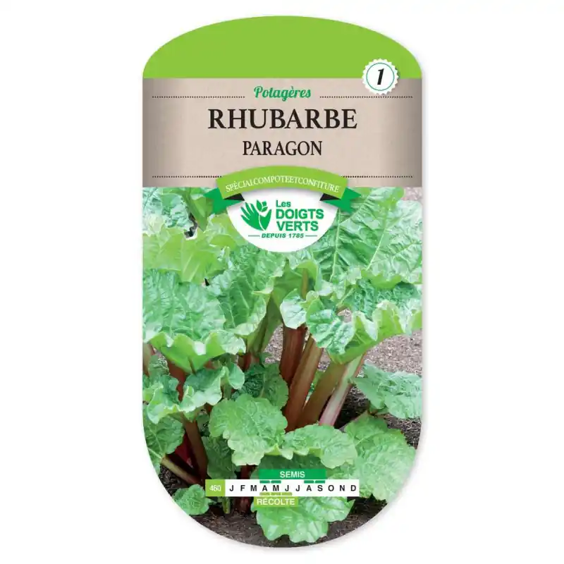 Réduction Rhubarbe – sachet de graines 1,5g – les doigts verts