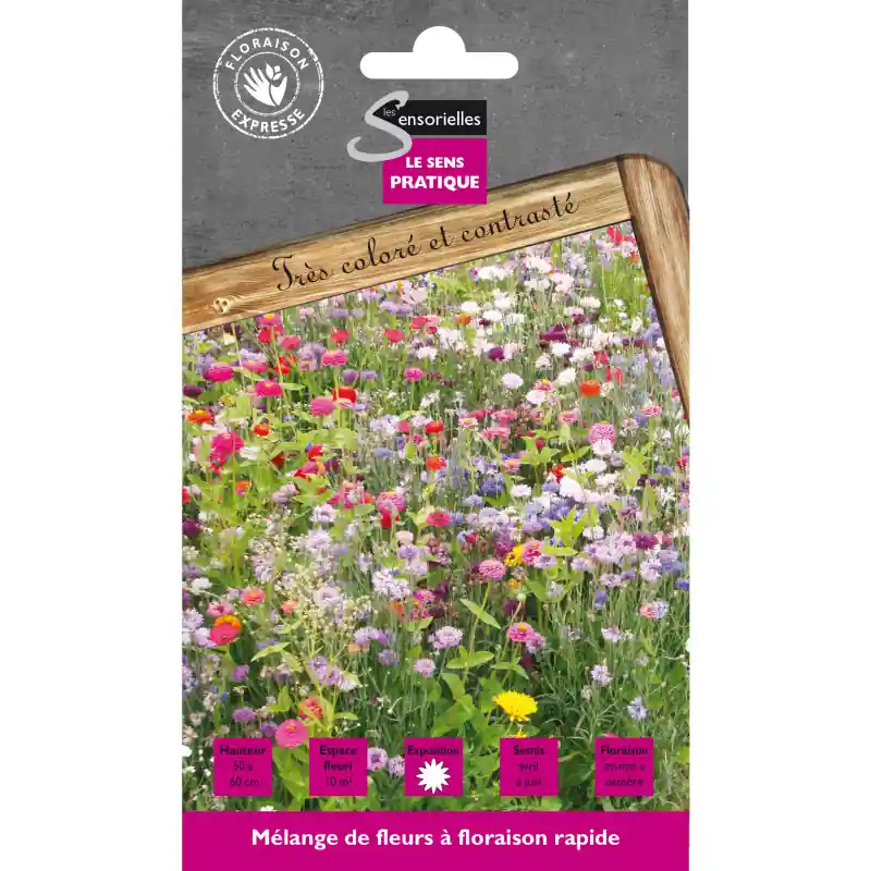 Commande En Gros Melange fleurs floraison rapide – graines 20g – les doigts verts