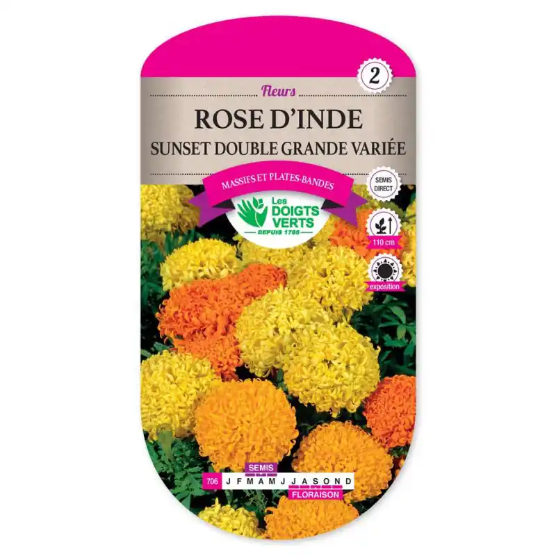 Pas Cher Rose inde sunset dble gde variee – graines 1g – les doigts verts