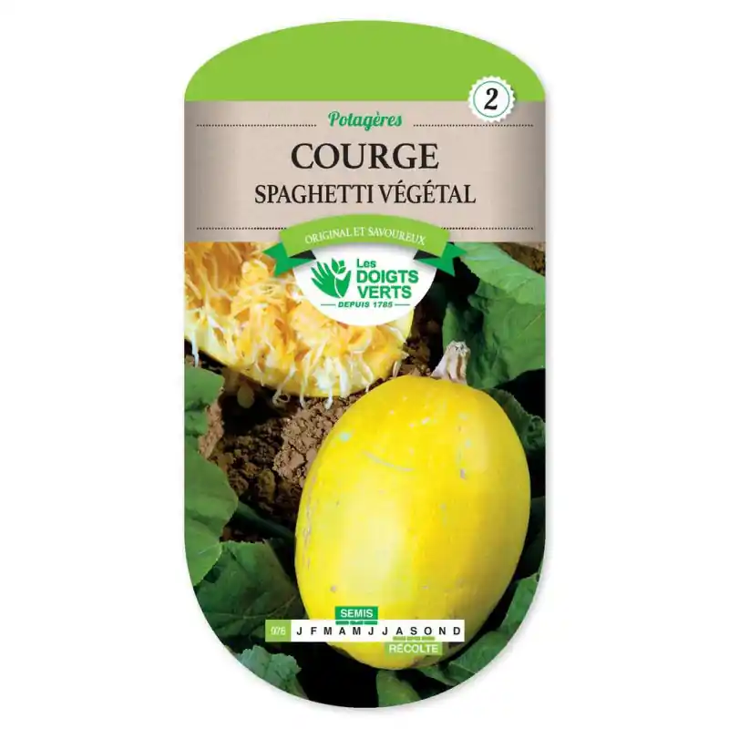 Soldes Courgette vegetable spaghetti – graines 4g – les doigts verts