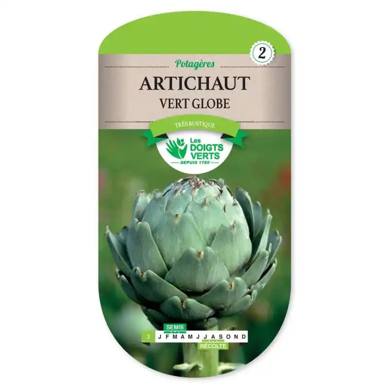 Vente Directe Artichaut vert globe – sachet de graines 2,5g – les doigts verts