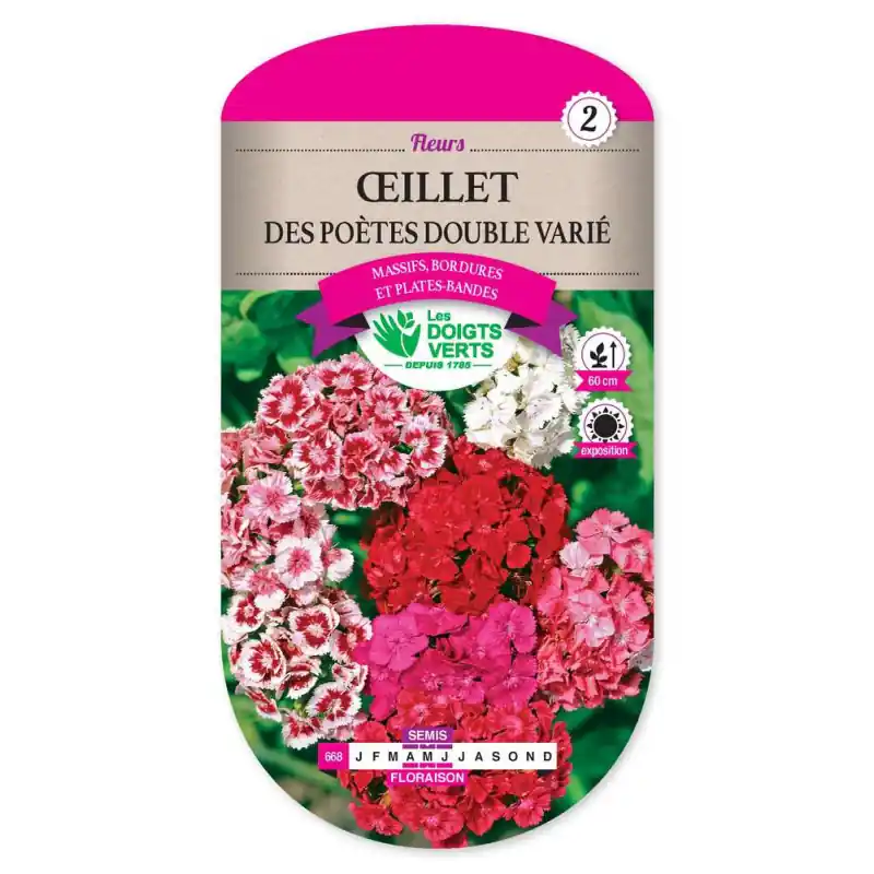 Livraison Express Oeillet des poetes double varie - graines 1,5g - les doigts verts