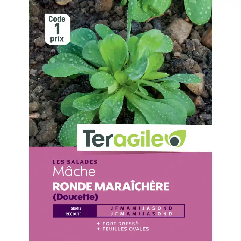 Mache ronde maraichere t1 teragile Acheter Direct