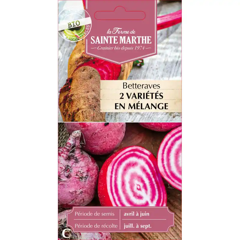 Meilleure Vente Betteraves en mél crapaud sainte marthe bio pour salades et cuisine – graines à semer