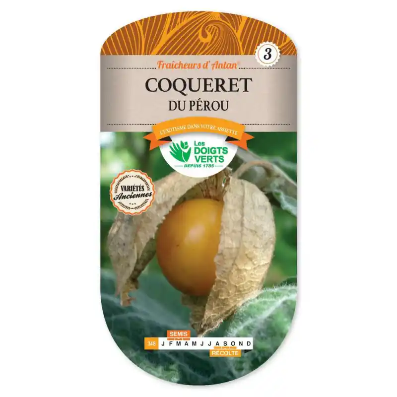 Offre Limitée Coqueret du perou physalis edul. – graines 1g – les doigts verts