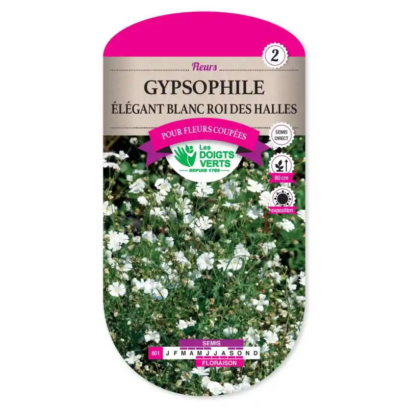 Gypsophile eleg. blanc roi halle - graines 3g - les doigts verts Promotion Saisonnière