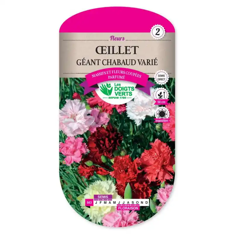Oeillet geant chabaud varie – graines 0,6g – les doigts verts Offre Du Jour