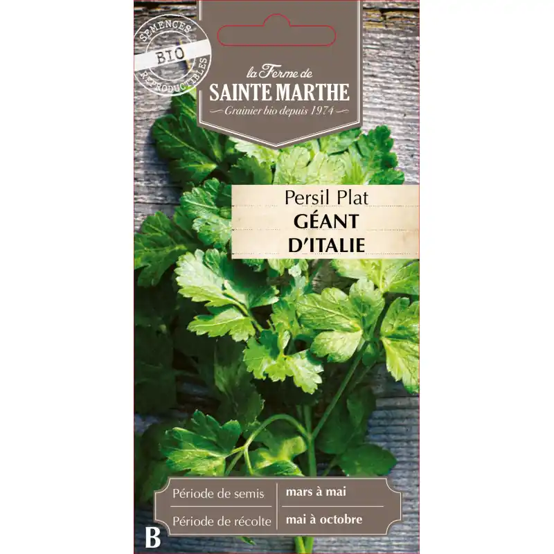 Top Vente Persil gigante d‘italia bio – plante aromatique de la ferme sainte marthe – graines à semer
