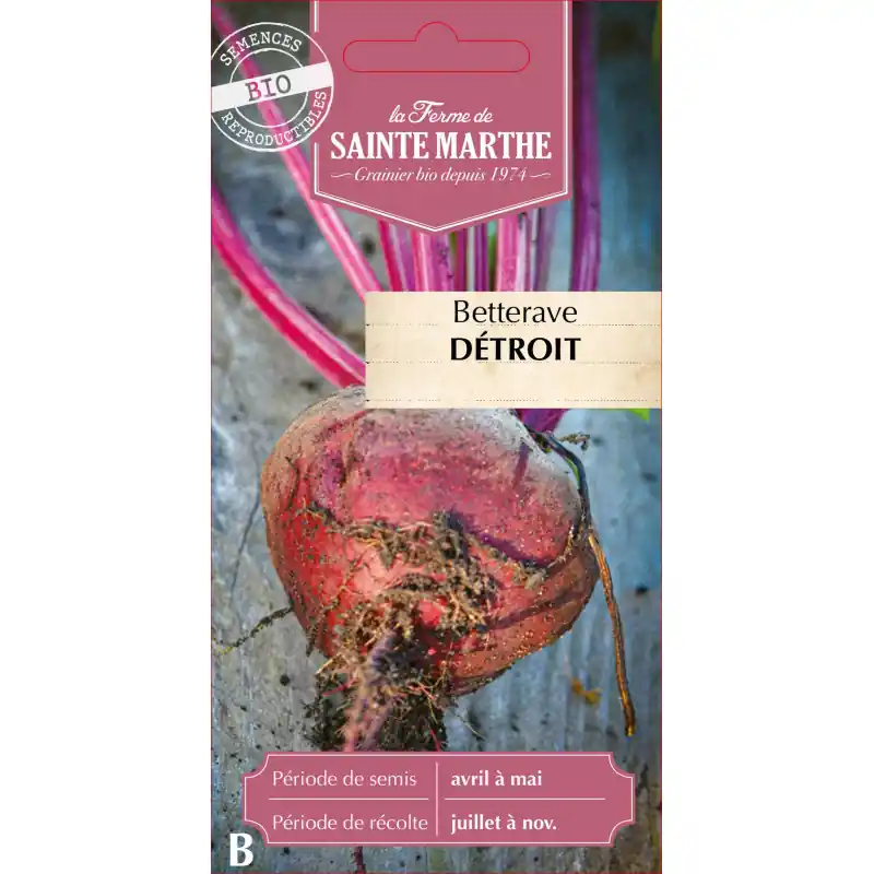 Betterave bio sainte marthe detroit bolivar pour un jardin potager productif – graines à semer Certifié