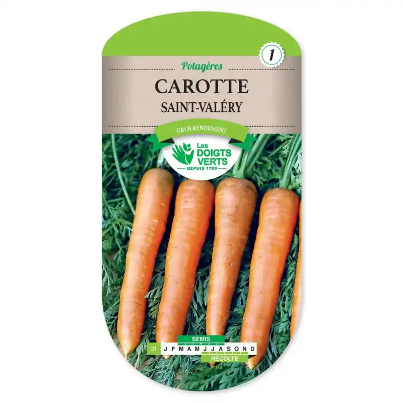 Nouvelle Collection Carotte longue de saint-valery – graines 6g – les doigts verts