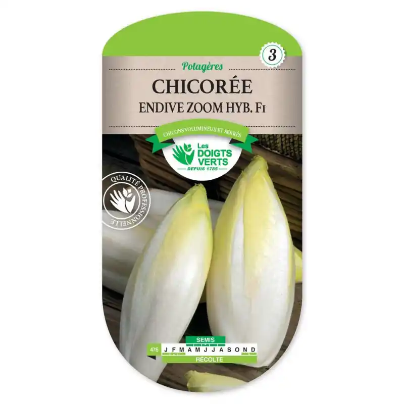 Promotion Saisonnière Chicoree endive zoom hyb.f1 – graines 3g – les doigts verts