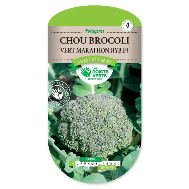 Expédié Aujourd&rsquo;hui Chou brocoli vert marathon f1 – graines 0,4g – les doigts verts