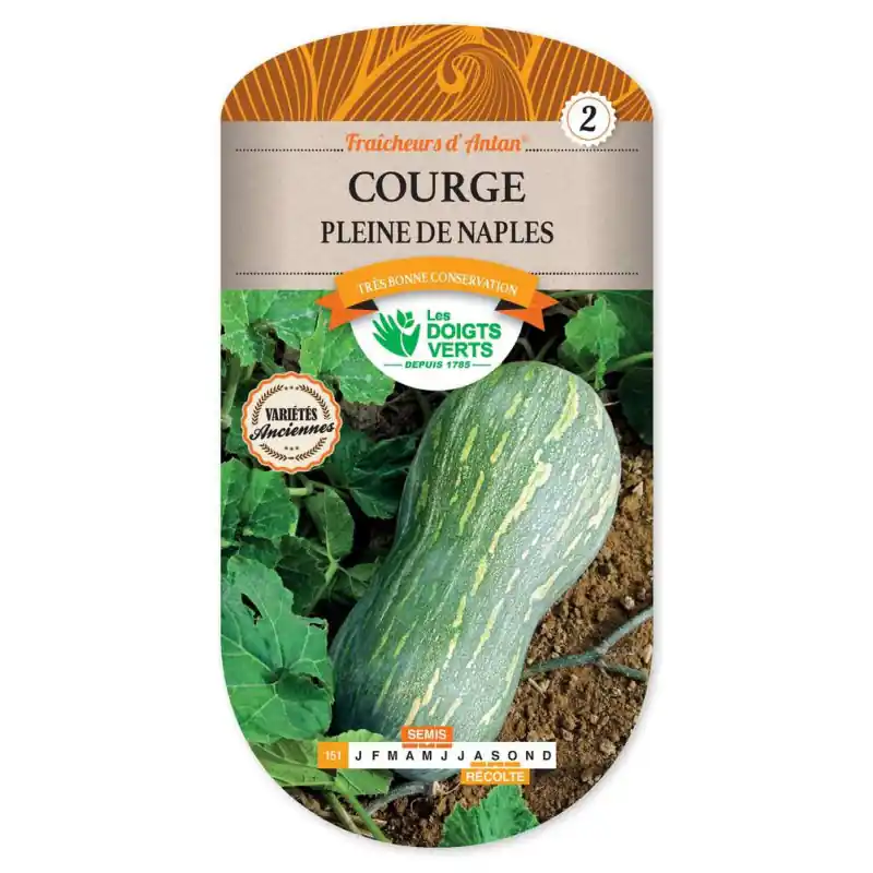 Courge pleine de naples – sachet de graines 5g – les doigts verts Nouveauté