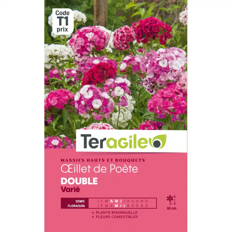 Oeillet de poete double varie 1,00 g Expédition Rapide