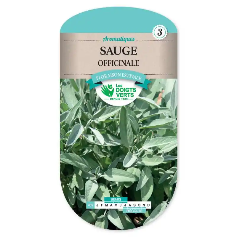 Promotion Saisonnière Sauge officinale – sachet de graines 2g – les doigts verts