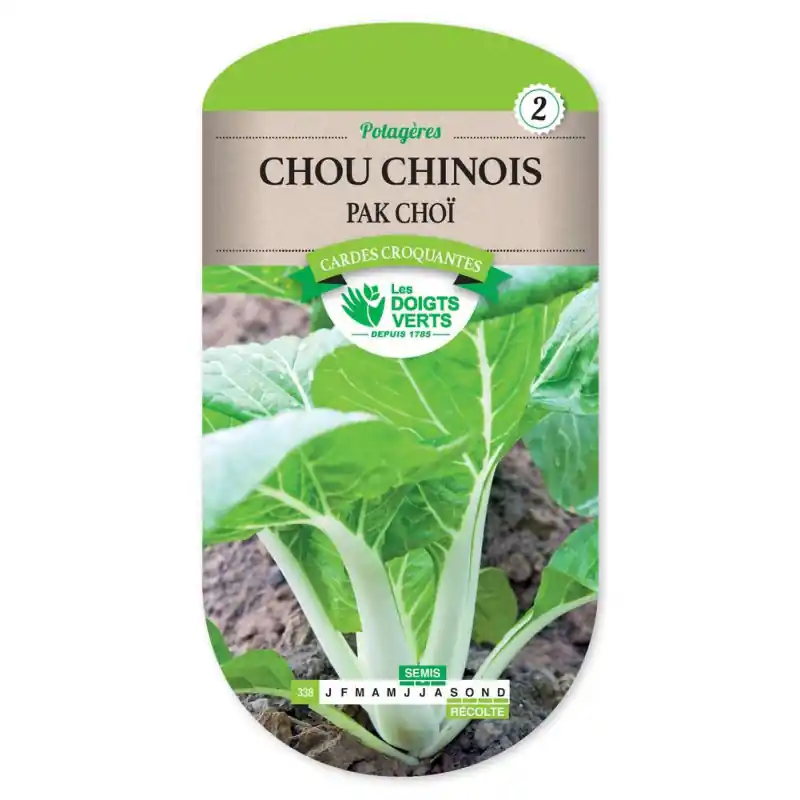 Chou chinois pak choï – sachet de graines 3g – les doigts verts Usine Directe