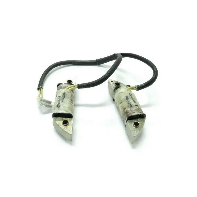 Bobine de charge batterie moteur autoportée GGP / Oleo Mac Prix Choc