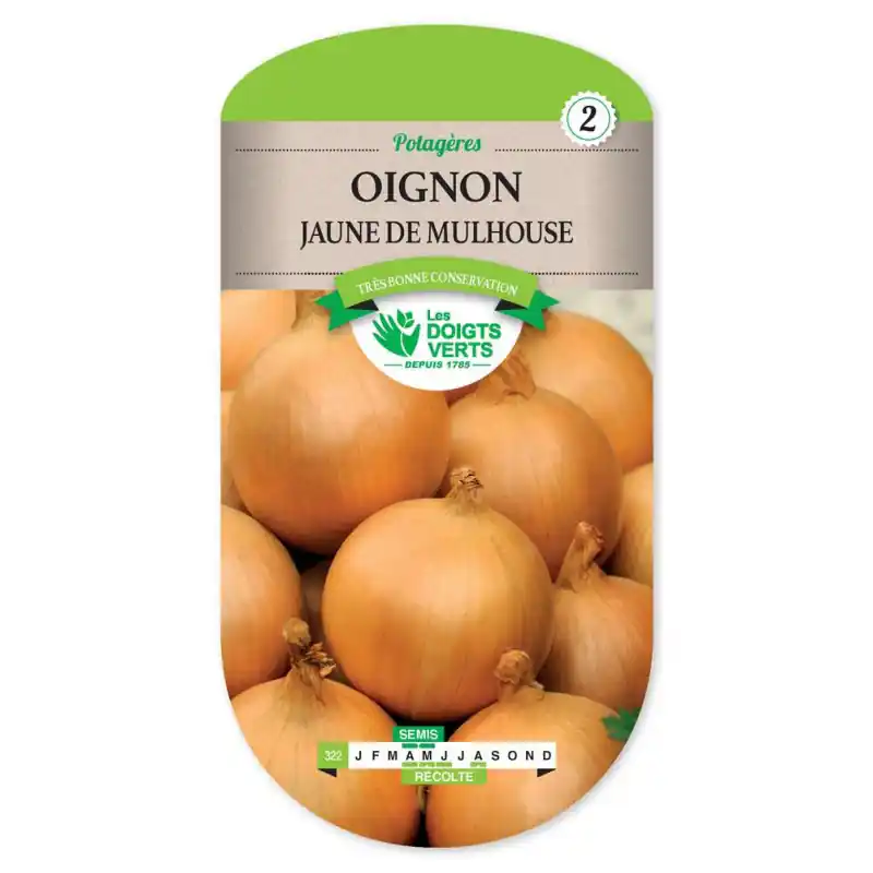 Promotion Saisonnière Oignon jaune mulhouse t. auxonne – graines 5g – les doigts verts