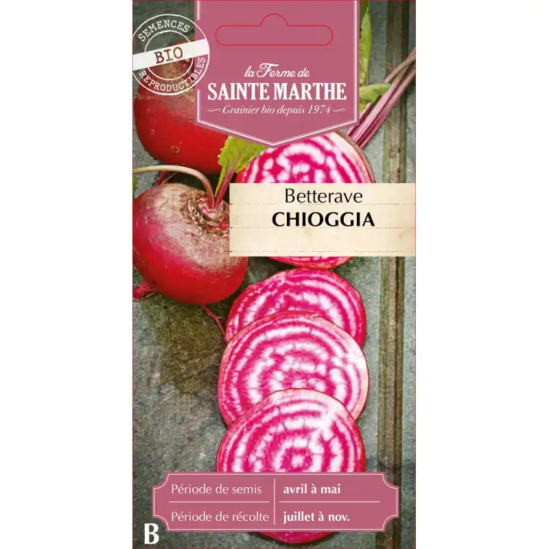 Betterave potagère chioggia bio – semences de qualité pour un jardin sain – graines à semer Commande En Gros