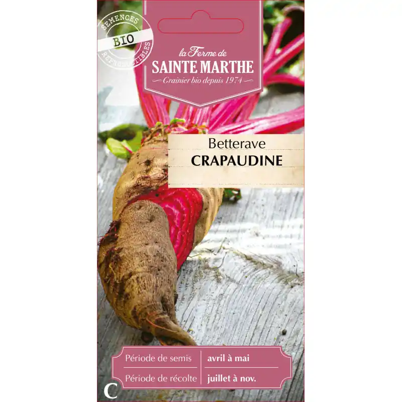 Offre Exclusive Betterave potagère crapaudine bio sainte marth – légume frais et savoureux – graines à semer