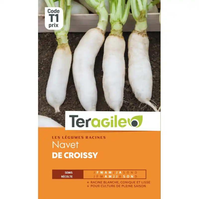 Navet de croissy t1 teragile Solde