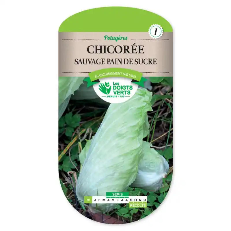 Chic.sauv.pain de sucre - sachet de graines 8g - les doigts verts Prix Promo