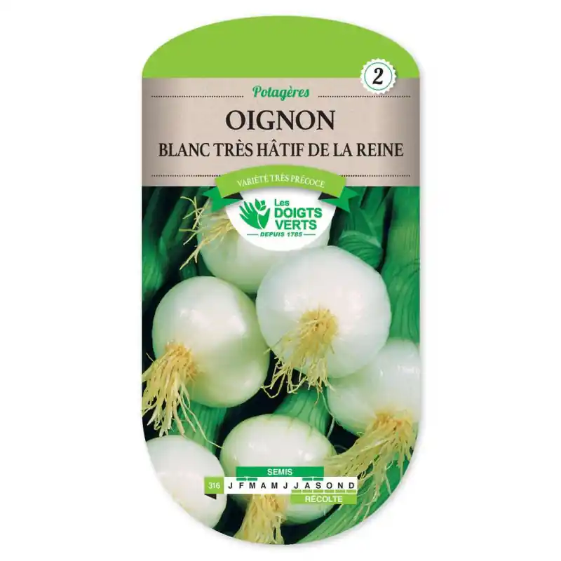 Oignon blanc tres hatif reine – graines 4g – les doigts verts Bon Marché