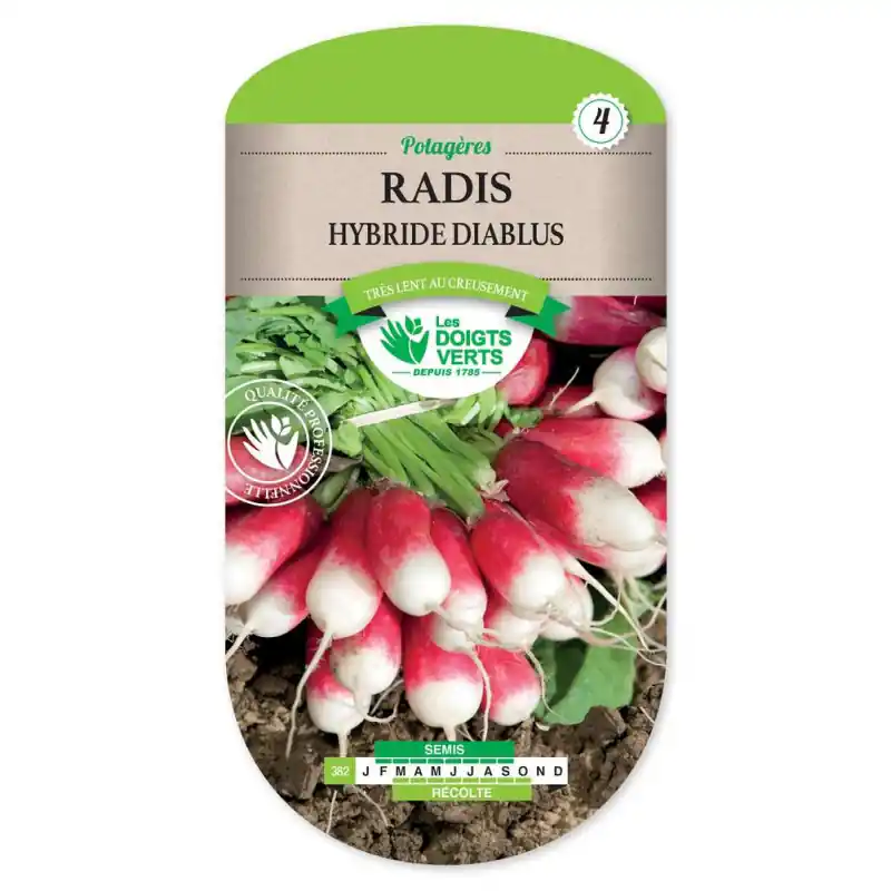 Livraison Express Radis diablus hybride f1 – sachet de graines 8g – les doigts verts