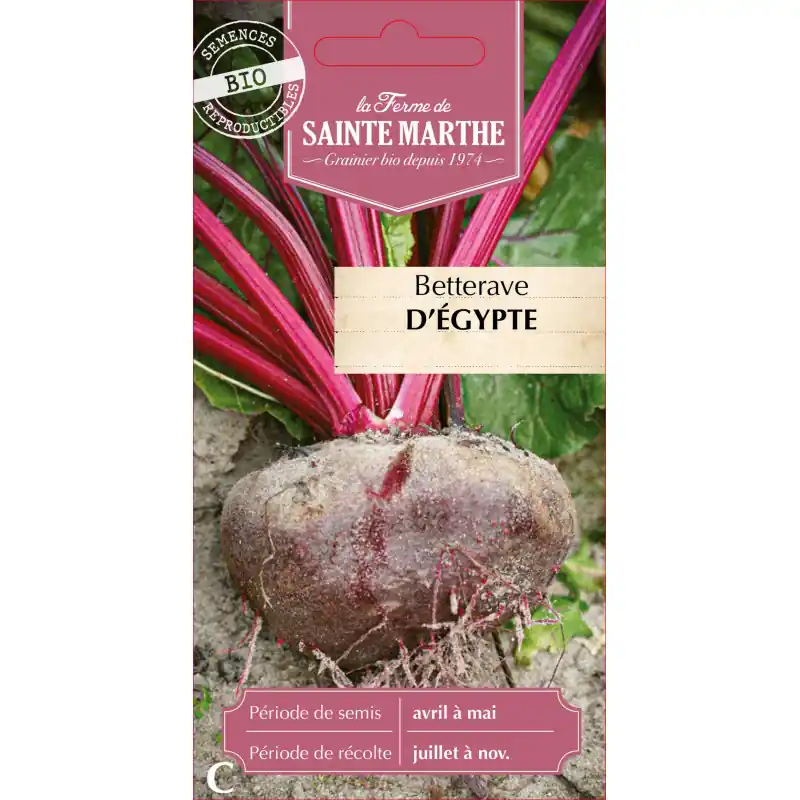 Bon Plan Betterave potagère bio d‘égypte – graines de sainte marthe pour jardinage durable
