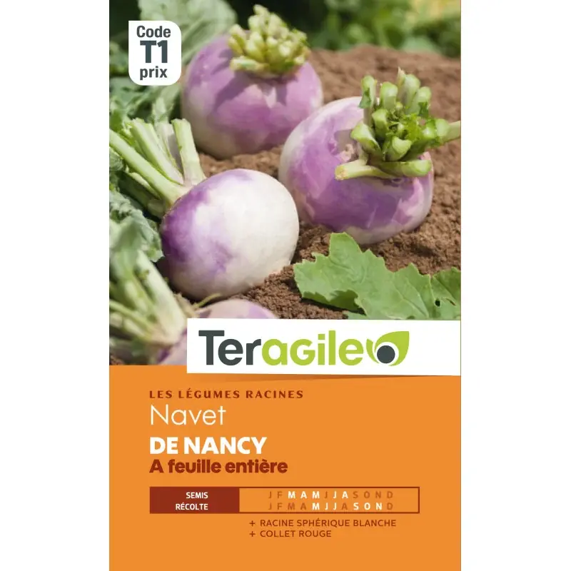 Navet nancy a feuille entier t1 teragile Soldes