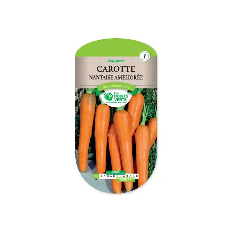 Offre Spéciale Carotte nantaise amel.4 r.garo – graines 8g – les doigts verts