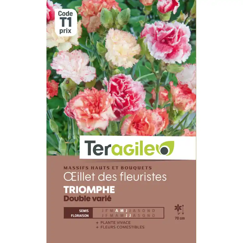 Oeillet des fleuristes triomphe double varie 1,0 Expédié Aujourd&rsquo;hui