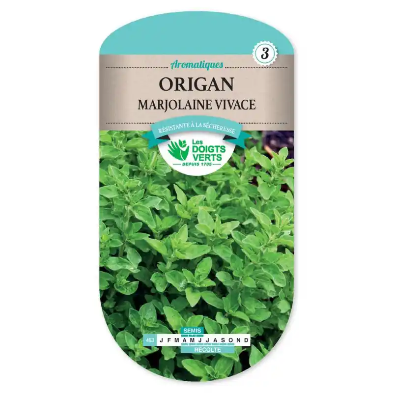Prix Choc Origan marjolaine vivace – graines 0,5g – les doigts verts